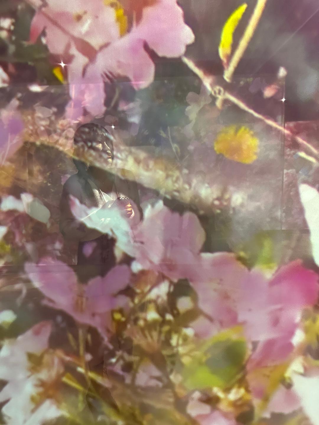 🇯🇵 蜷川実花展｜闖入花花世界的那瞬間 💐🫧🦋