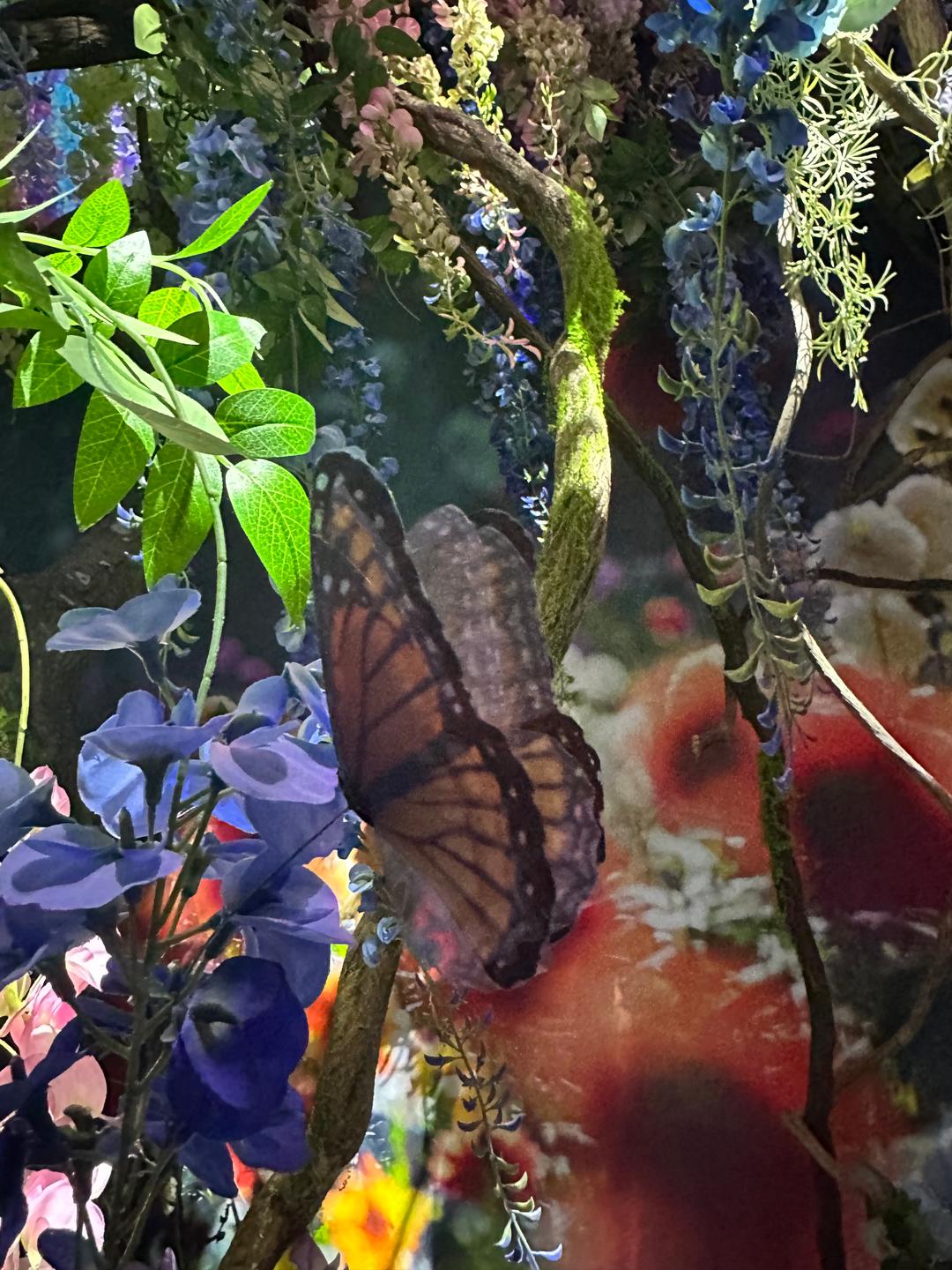 🇯🇵 蜷川実花展｜闖入花花世界的那瞬間 💐🫧🦋