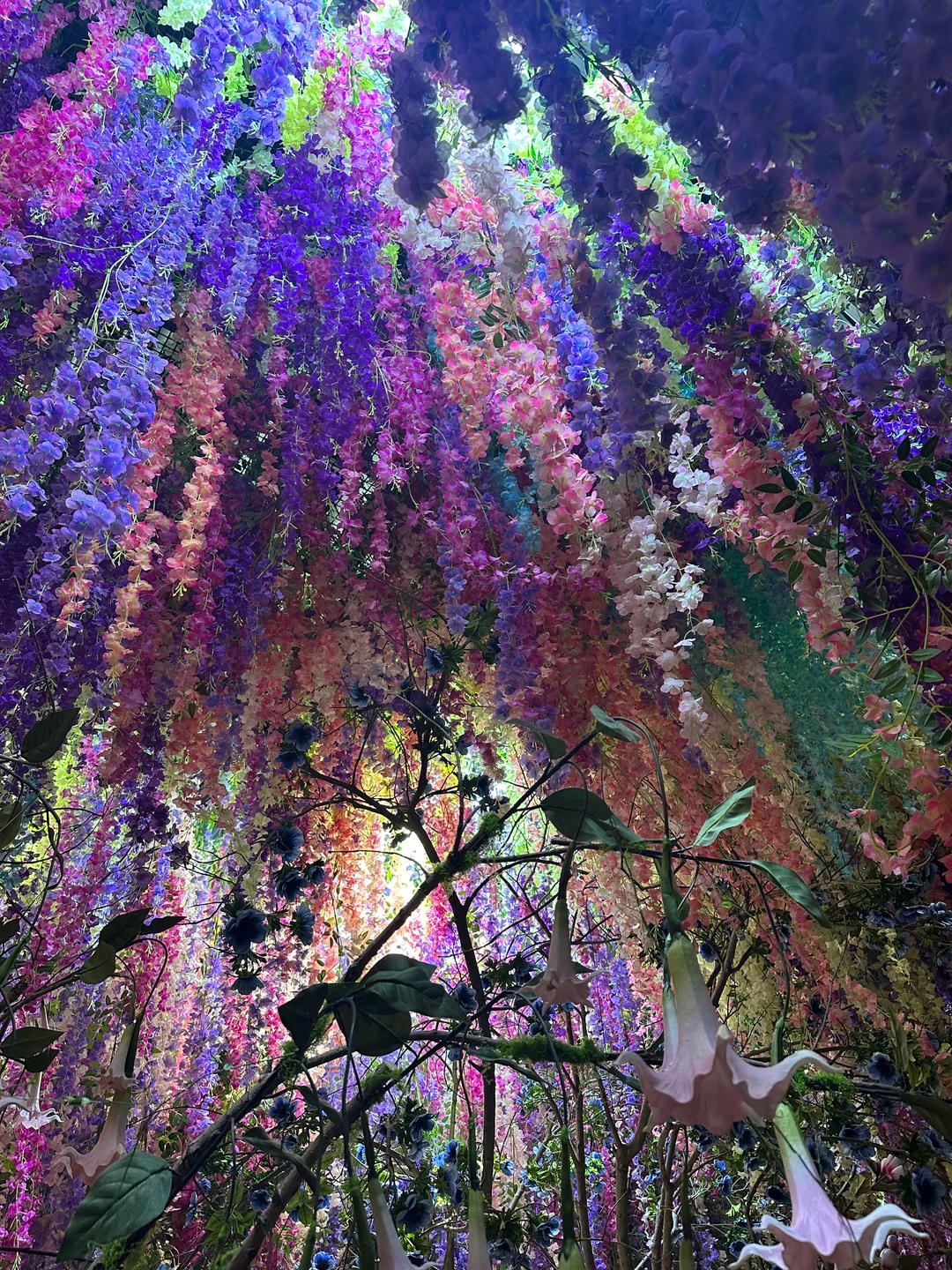 🇯🇵 蜷川実花展｜闖入花花世界的那瞬間 💐🫧🦋