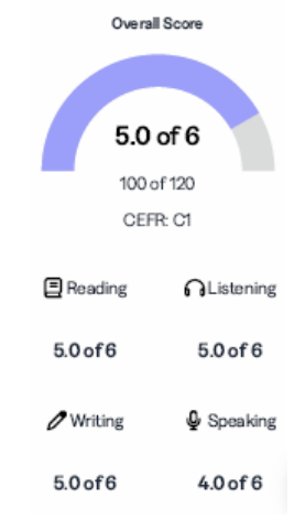 【TOEFL 高分心得文】